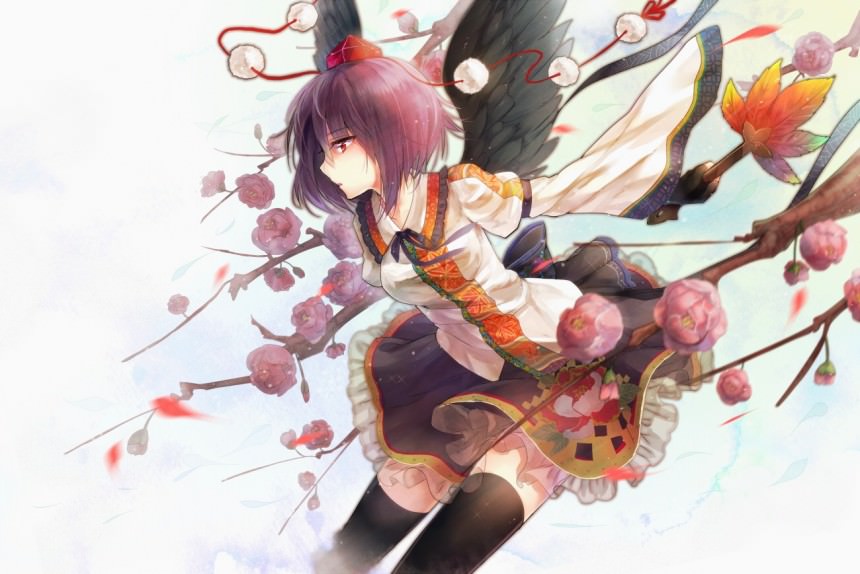     ,   ,    ,   